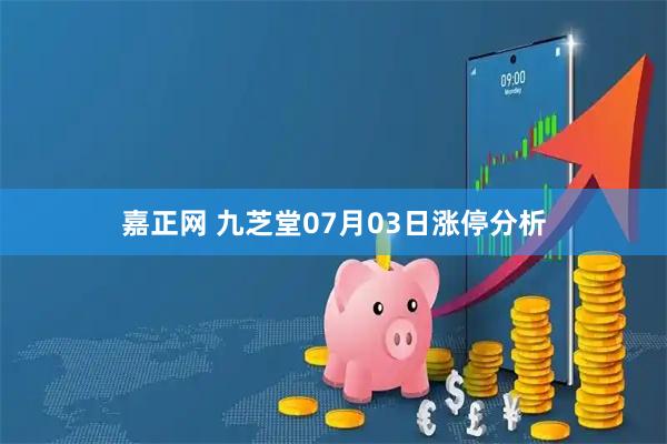 嘉正网 九芝堂07月03日涨停分析