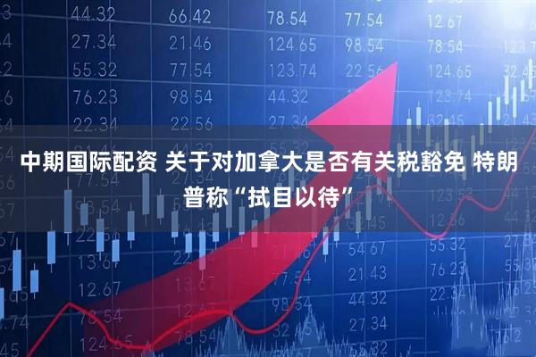 中期国际配资 关于对加拿大是否有关税豁免 特朗普称“拭目以待”