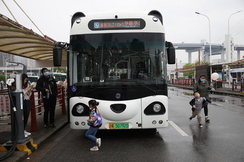 憨萌美翻 上海 熊猫公交车 上路运营,黄浦 徐汇滨江又添风景线